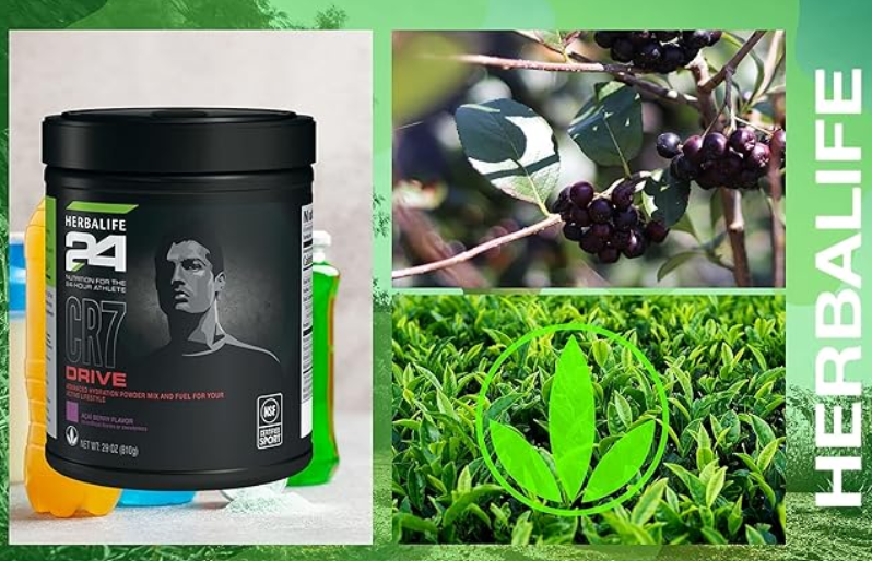 HERBALIFE24;- علبة بنكهة توت الآساي 